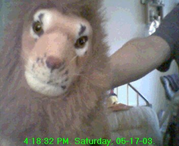 Lion from ??
